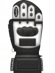 Bolid Lion Carbon Skin moufles de ski cuir racing course personnalisés
